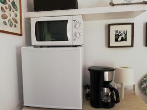 a microwave sitting on top of a refrigerator at Moradia no Seixal Ericeira in Ericeira