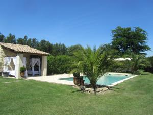 een palmboom in een tuin naast een zwembad bij Maison provençal avec PISCINE in Cavaillon