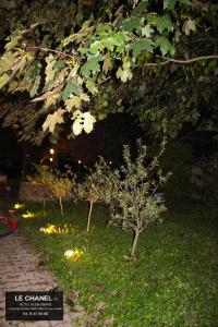 un jardin avec deux petits arbres dans l'herbe dans l'établissement Hôtel Restaurant Le chanel, à Villieu