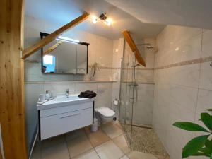 a bathroom with a sink and a shower and a toilet at Haus Stegmeir in Hohenweiler