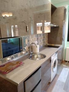 a kitchen with a sink and a washing machine at Residencias Turísticas Matasiete in León +69 photos
