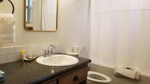 a bathroom with a sink and a toilet and a mirror at Eagle Cap Chalets in Joseph