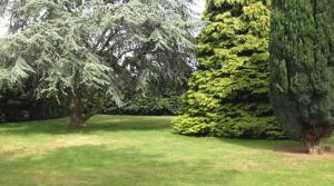 due alberi in un campo con erba verde di Gite de la Haute Verdière a La Neuville-du-Bosc