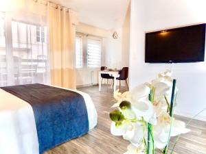 a bedroom with a bed and a tv on a wall at L'appart Moulin des Thermes Metz in Metz