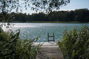 un banco sentado en un muelle junto a un lago en Domki Nad Jeziorem "Półwysep SURYTY", en Suryty