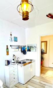 Cuisine ou kitchenette dans l'établissement The Blue Dodo