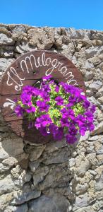 Fotografie z fotogalerie ubytování B&B Il Melograno v destinaci Tortorella