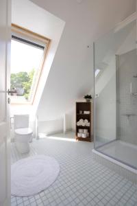 Munkebjerg Bed & Breakfast في Børkop: حمام مع مرحاض ودش زجاجي