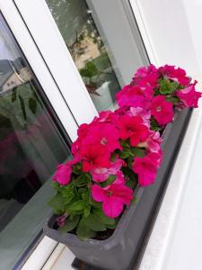 Φωτογραφία από το άλμπουμ του Mistel Apartman σε Bodensdorf