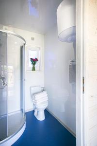 a bathroom with a toilet and a glass shower at Domki z klimatem in Ustka