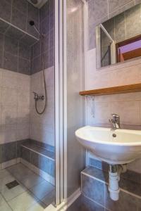 a bathroom with a sink and a shower at Pension U Mojmíra in Rokytnice nad Jizerou