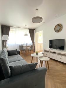 a living room with a couch and a tv at DanGinta in Druskininkai