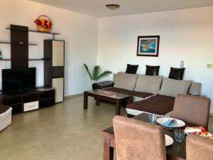 a living room with a couch and a television at Apartments Violeta in Budva