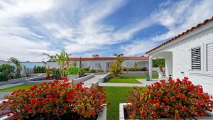 A garden outside Bungalows Adonis