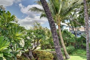 Gallery image of Kihei Akahi A104 in Wailea