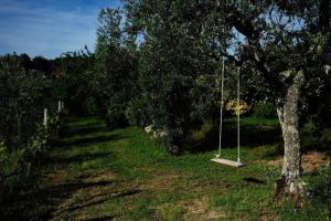 a swing in a field next to a tree at Quinta de Vodra in Seia