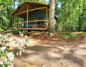 a house in the woods with a tree at Mountain Laurel Cottage at Hearthstone Cabins and Camping - Pet Friendly in Helen