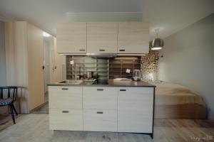Kuchnia lub aneks kuchenny w obiekcie Apartamenty Silence Górskie Zacisze