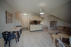 Kuchnia lub aneks kuchenny w obiekcie Apartamenty Silence Górskie Zacisze