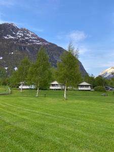 a field with trees and houses in front of a mountain at Nygård Camping in Hjelle