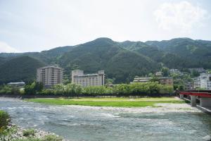 下呂的住宿－水明館酒店，一条城市和山脉为背景的河流