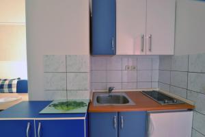 Kuchyň nebo kuchyňský kout v ubytování Cozy apartment with breakfast on request 1
