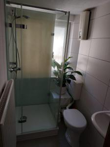 a bathroom with a shower and a toilet and a plant at Ferienwohnung Kieble in Ichenhausen