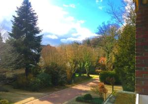 Elle offre une vue sur un jardin avec un arbre et une allée. dans l'établissement Ferienwohnung Liene, à Bad Zwischenahn