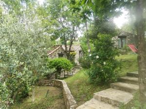 Villa Praesidio في Riventosa: حديقة فيها بيت وبعض الأشجار والدرج