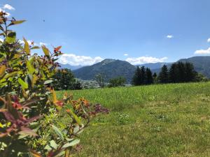Príroda v okolí apartmánu