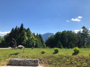 Príroda v okolí apartmánu