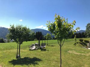 Príroda v okolí apartmánu