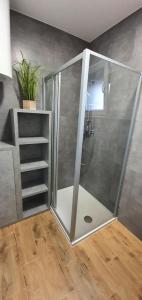 a shower with a glass enclosure in a room at Apartmani Tisno TM in Tisno