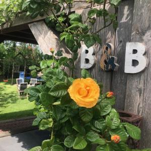 Zahrada ubytování B&B De Pastorie bij Dokkum