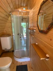 een badkamer met een douche, een toilet en een spiegel bij Dreumelse Waard in Dreumel