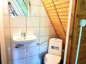 a bathroom with a toilet and a sink at Willa Góralka in Karpacz +90 photos