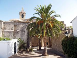 twee palmbomen voor een gebouw met een kerk bij Casa Jaime in Vejer de la Frontera