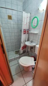 a bathroom with a toilet and a sink at Agroturystyka Domki Eden in Sarbinowo +78 photos