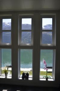 una ventana con vistas al océano y a las montañas en Aga Fjord Apartments Hardanger, en Nå