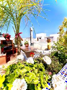 a garden with white flowers on a patio at Zenit Olhao Bed & Breakfast in Olhão