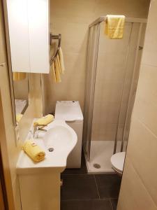 La petite salle de bains est pourvue d'un lavabo et d'une douche. dans l'établissement Apartment Gastein, à Bad Gastein