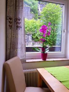 a window with a vase with pink flowers in it at Apartment Gastein in Bad Gastein