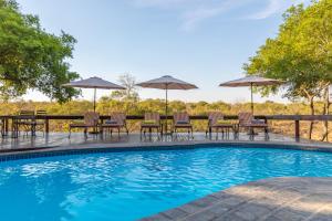 a swimming pool with chairs and tables and umbrellas at Waterbuck Game Lodge Thornybush Nature Reserve in Thornybush Game Reserve