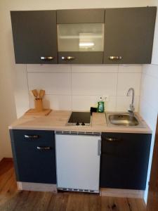 Dapur atau dapur kecil di Apartment Diana