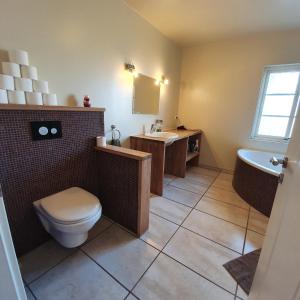 Ett badrum på Hvammur 2 Guesthouse Red House
