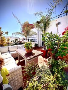 un patio con sofá, mesa y algunas plantas en Zenit Olhao Bed & Breakfast, en Olhão