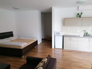 een kleine kamer met een bed en een keuken bij Modern city center apartment with private parking in Martin