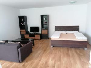 een woonkamer met een bed en een bank bij Modern city center apartment with private parking in Martin