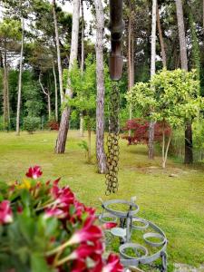 
Zahrada ubytování Hotel & Wellness Fra I Pini

