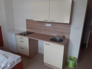Una pequeña cocina con fregadero y encimera. en Sport Hotel České Budějovice, en České Budějovice